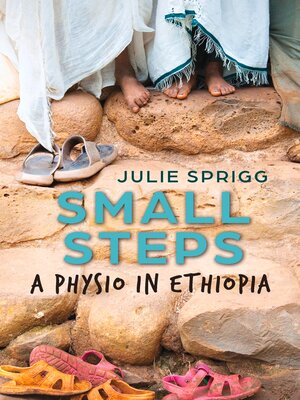 cover image of Small Steps